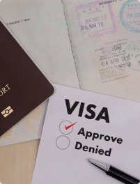 visa-legallization
